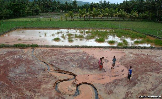 Children play on the cyanide- and mercury-contaminated tailings, adjacent to working rice paddies on the Indonesian island of Lombok