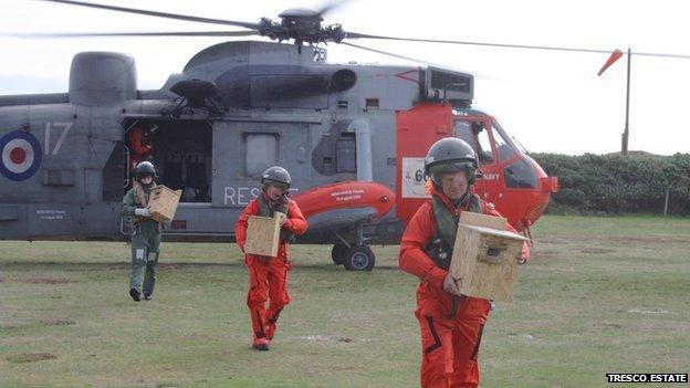 RNAS Culdrose crew unloading the red squirrels