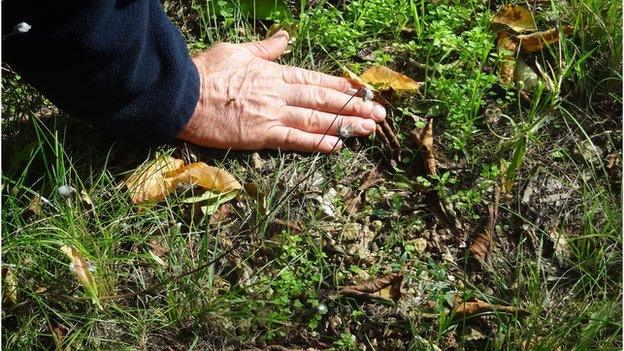 Man touching the ground