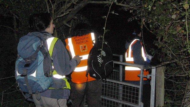 Wounded Badger Patrol on public footpath