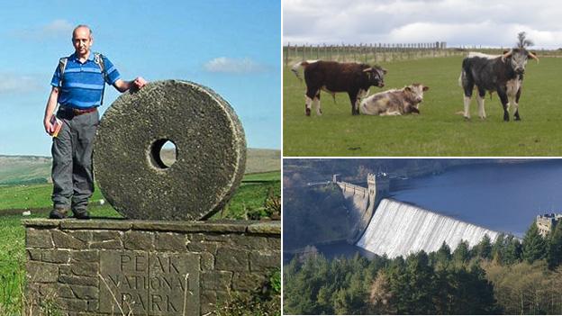 Brian Couzins, cattle, Ladybower