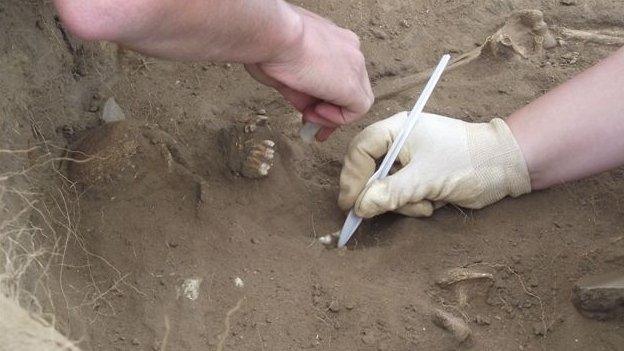 Barber's Point dig, Aldeburgh