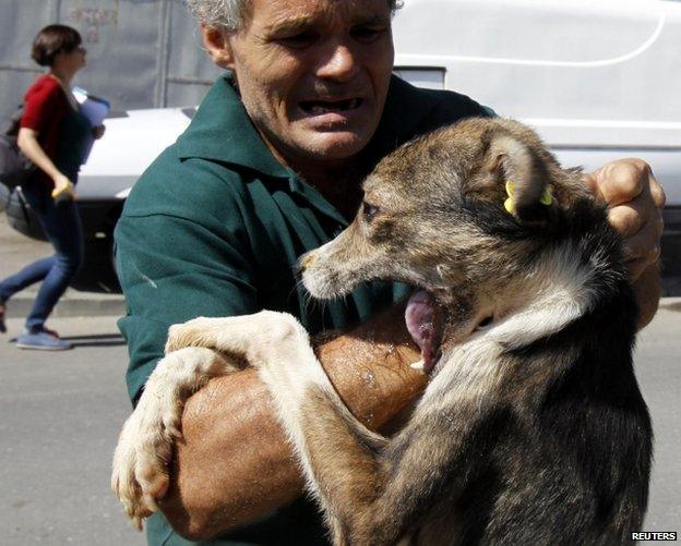 An adopted stray dog bites a municipal worker in Bucharest as he carries it to its new owner, 13 September