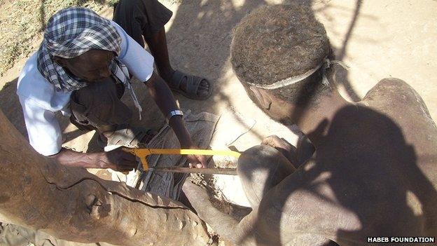 Man saws off chains of patient tied to a tree