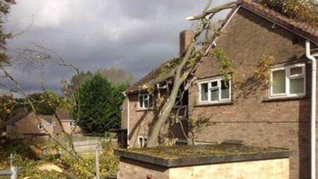 A tree was brought down by the storm onto a house in Bulford