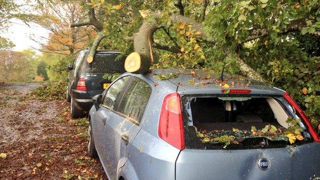 Tree down on cars at Marlborough Buildings, Bath