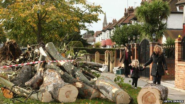 Debris of fallen trees in Hounslow, west London