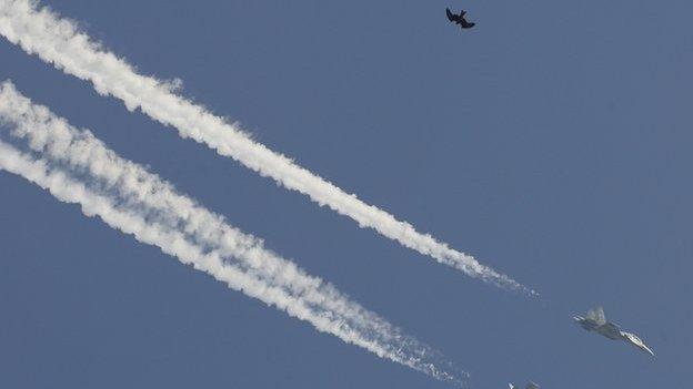 Bird and two planes