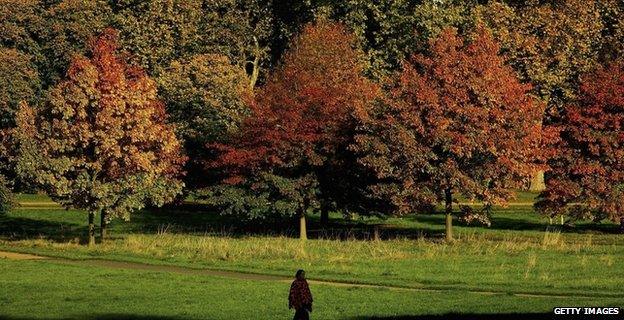 Person walking through Hyde Park, London (Getty Images)