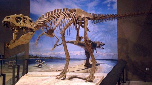 Lythronax argestes