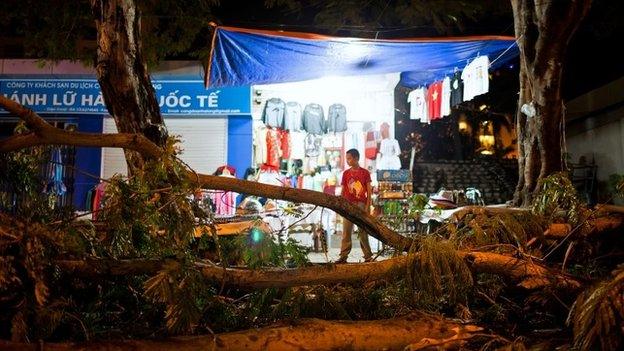 Fallen tree in Halong City, Vietnam, 11 November 2013