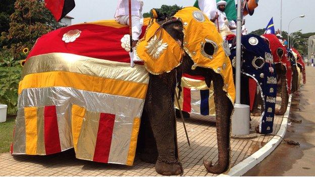 Ceremonial elephants in Colombo on Friday