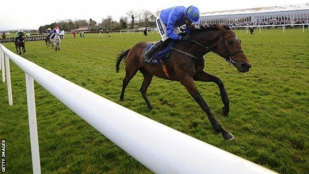 Hurricane Fly wins at Punchestown in April