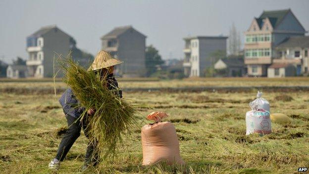 File photo: Farm in China