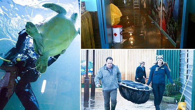 Sea Life Centre, Hunstanton