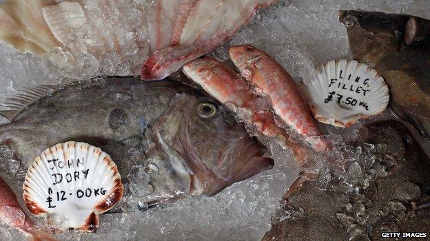 Fish at a fishmonger