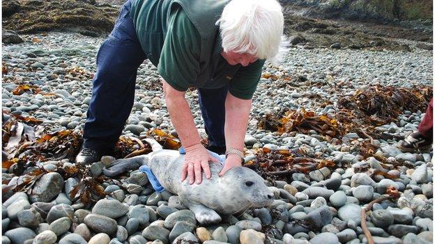 Manx Society for the Prevention of Cruelty to Animals