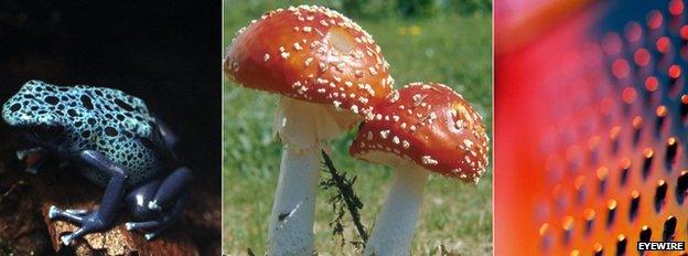 Trypophobic images