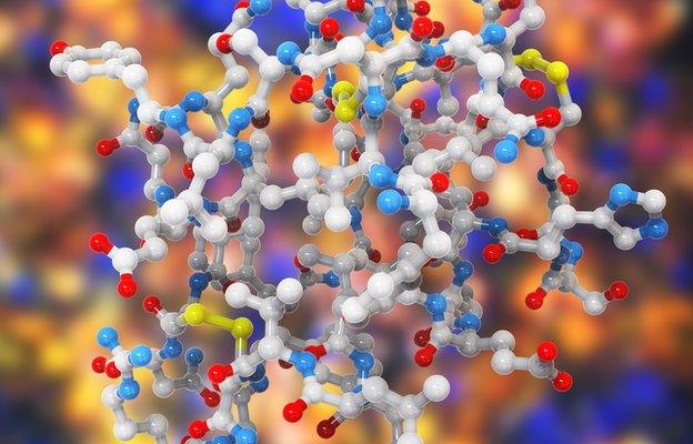 Insulin molecule