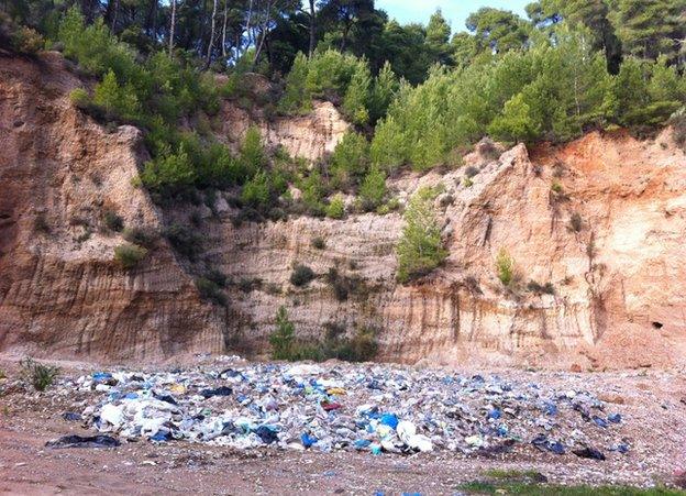 Rubbish in a Greek pine forest