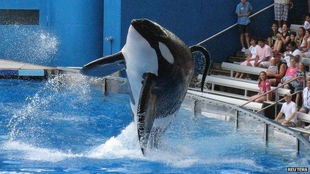 Tilikum