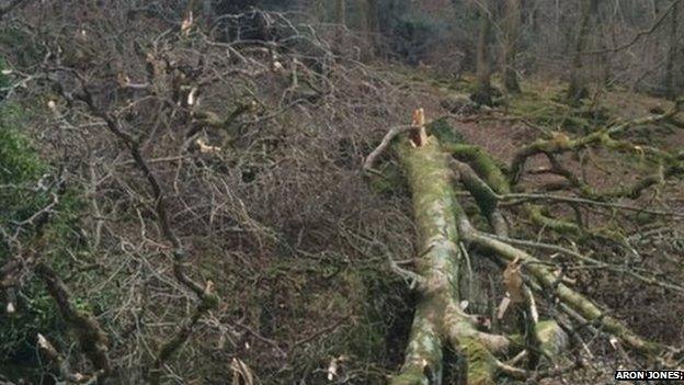 Storm damage at farm near Llanbedr, Gwynedd