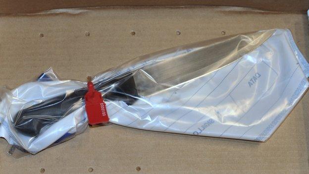 The knife said to have been used in Meredith Kercher's killing