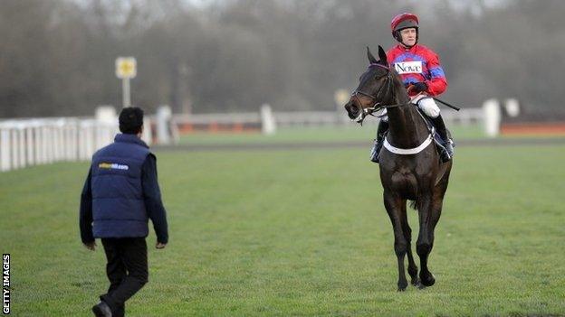 Sprinter Sacre after being pulled up at Kempton