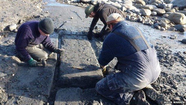 Fossil experts working on ichthyosaur skeleton