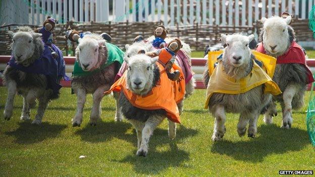 Lamb National at Ascot