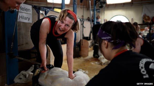 All-women shearing team at Newton Stewart