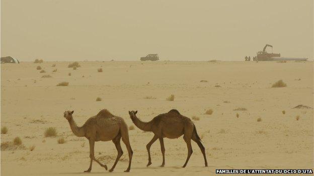 two camels walk past the site