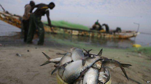 Fishermen reload their nets after emptying their day's catch in Saint-Louis, Senegal - 17 May 2013