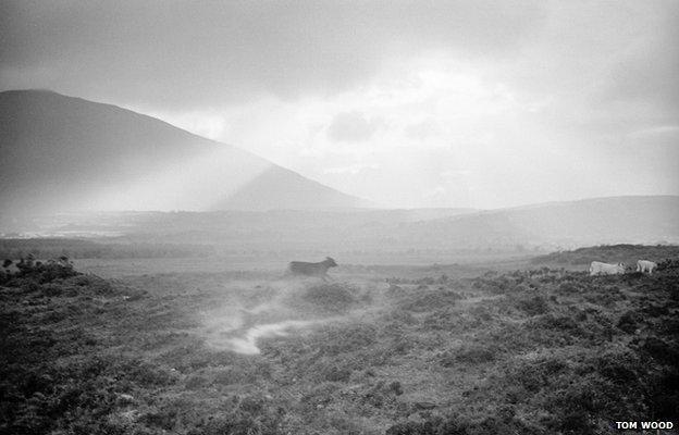 Back from Pontoon, (Cavecalf), 1975