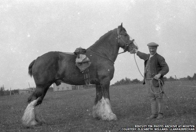 Biscuit Tin Photo Archive at MOSTYN Courtesy Elizabeth Willams, Llanfairfechan