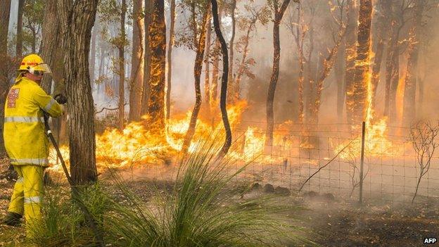 Firefighters work to contain wildfires in the Stoneville area, a suburb east of Perth in the state of Western Australia, 12 January 2014