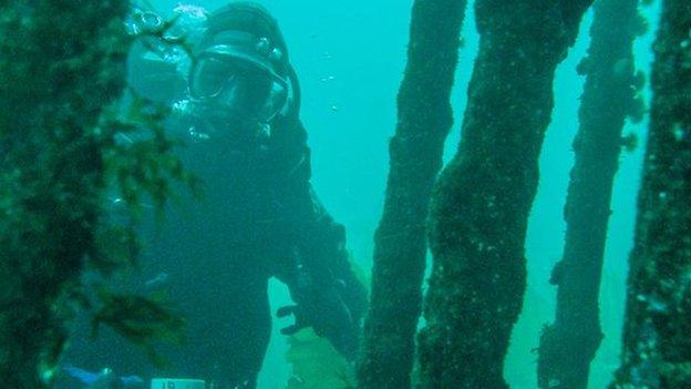 Diver investigates a wreck in Loch Torridon