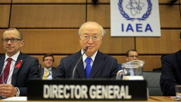 International Atomic Energy Agency (IAEA) Director General Yukiya Amano in Geneva (29 November 2013)