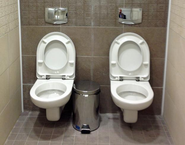 the sochi toilet