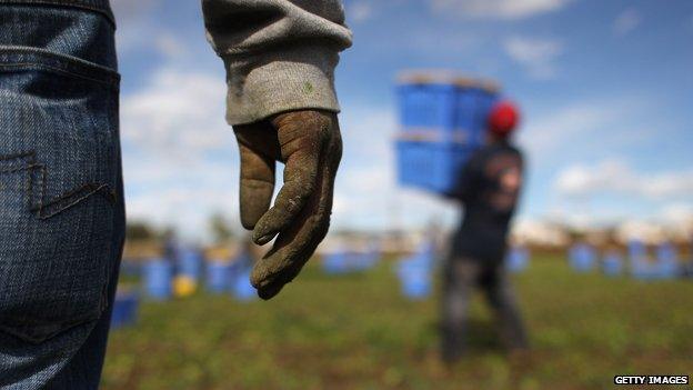 migrant workers in colorado