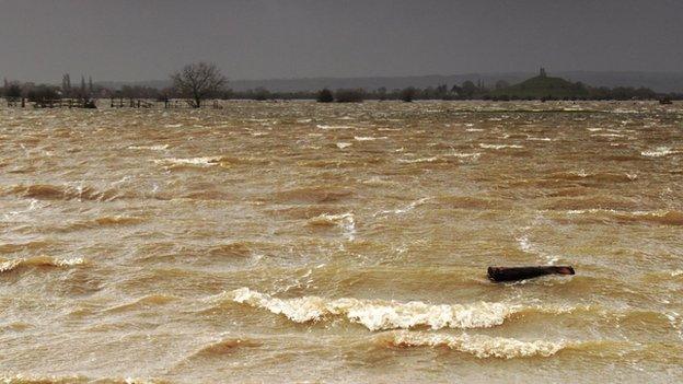 A stong wind whips up waves near Burrowbridge Mump the only land above water in the area.