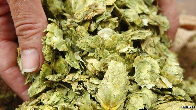 A handful of hops