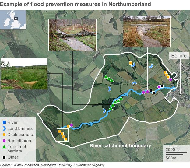 Map showing natural flood prevention measures around Belford in Northumberland