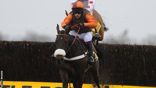 2011 Cheltenham Gold Cup winner Long Run among Grand National entries