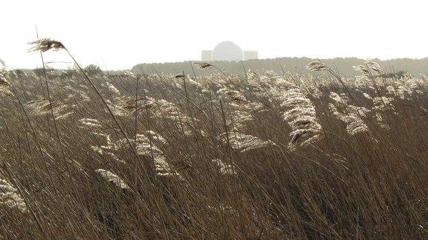 RSPB Minsmere, Suffolk