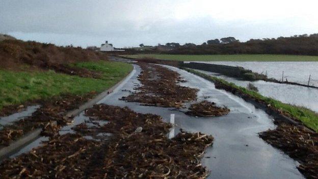 Coast road at L'eree, Guernsey, 2 Feb 2014