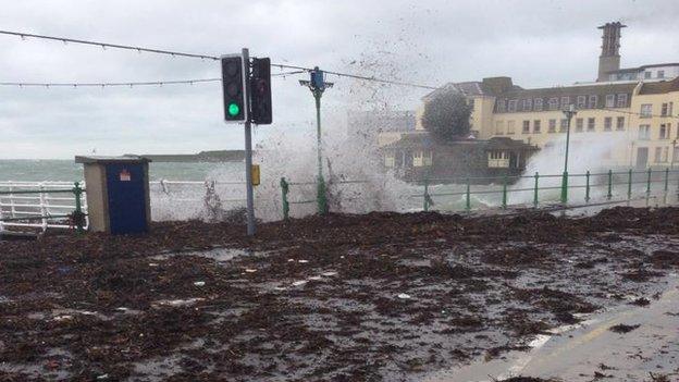 Havre des Pas seaweed