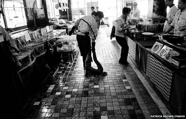 A man drags a live crocodile along the floor of a luxury restaurant