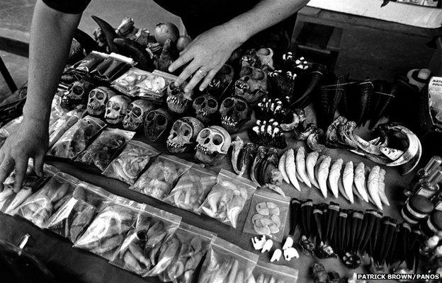 A shop selling wildlife products in the Thailand-Burma border town of Thakhilek