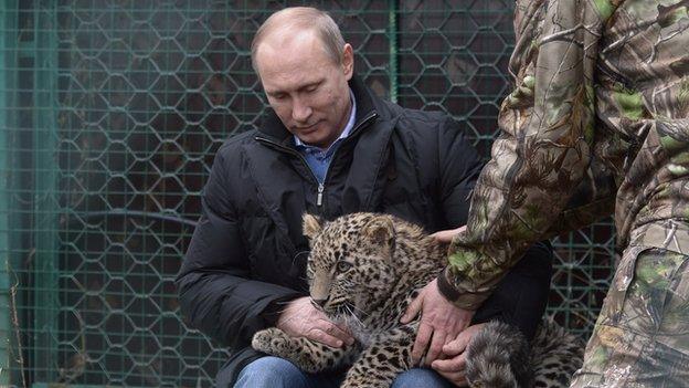 President Putin strokes a leopard cub as he visits the Persian leopard breeding and rehabilitation centre in the National Park in the Black Sea resort of Sochi on 4 February.